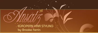 Ansatz : European Hair Styling by Brooke Ferrin